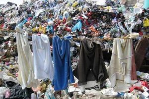 The environmental costs of fast fashion